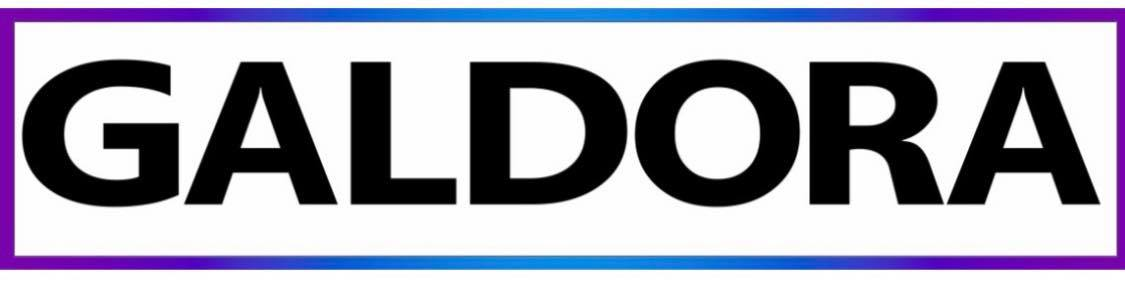 GALDORA Personalmanagement GmbH & Co. KG Logo